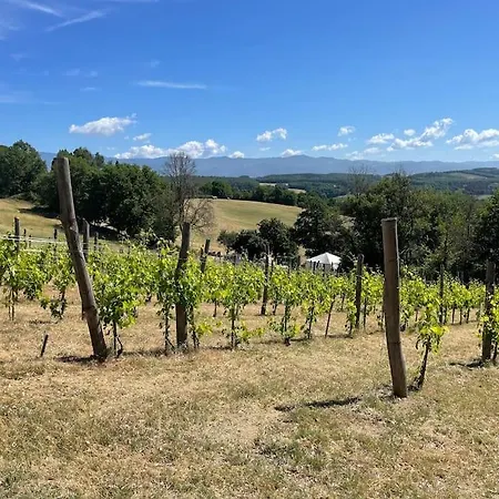 Luxury Tuscan Farm Stay, 1 Bedroom With A Pool