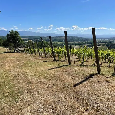 Luxury Tuscan Farm Stay, 1 Bedroom With A Pool Apartment