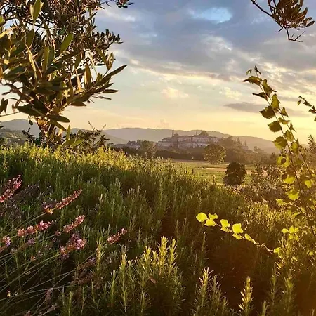 Apartment Luxury Tuscan Farm Stay, 1 Bedroom With A Pool