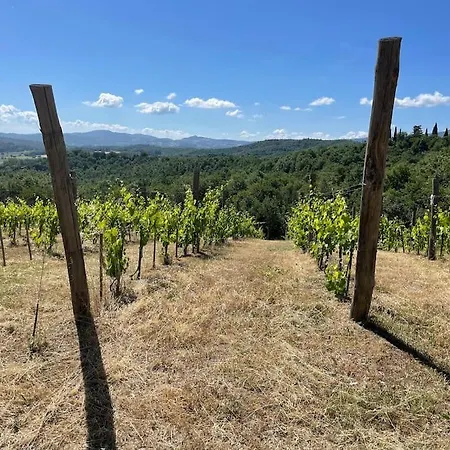 Apartment Luxury Tuscan Farm Stay, 1 Bedroom With A Pool