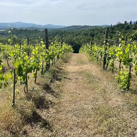 Apartment Luxury Tuscan Farm Stay, 1 Bedroom With A Pool Anghiari