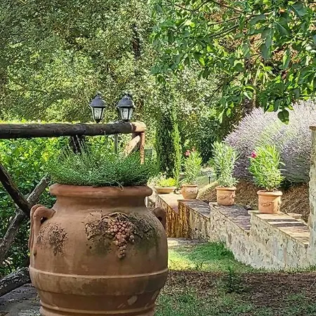 Apartment Luxury Tuscan Farm Stay, 1 Bedroom With A Pool Anghiari